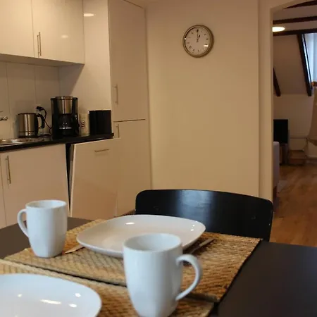 Kernsanierte Nahe Bahnhof Und Zentrum Apartment St. Gallen