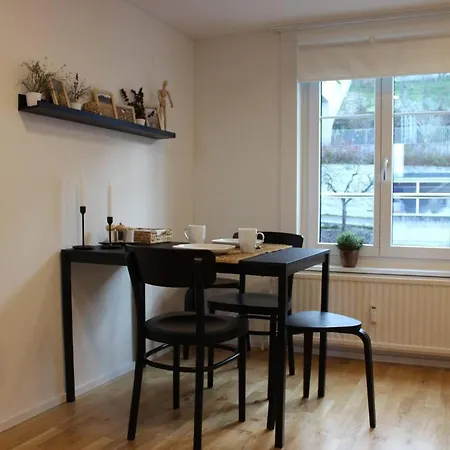 Apartment Kernsanierte Nahe Bahnhof Und Zentrum