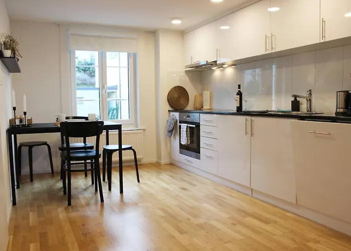 Completely Renovated Near The Train Station And The Center * سانت غالن