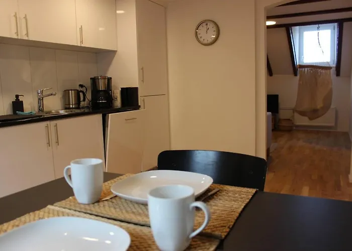 Completely Renovated Near The Train Station And The Center Appartamento St. Gallen